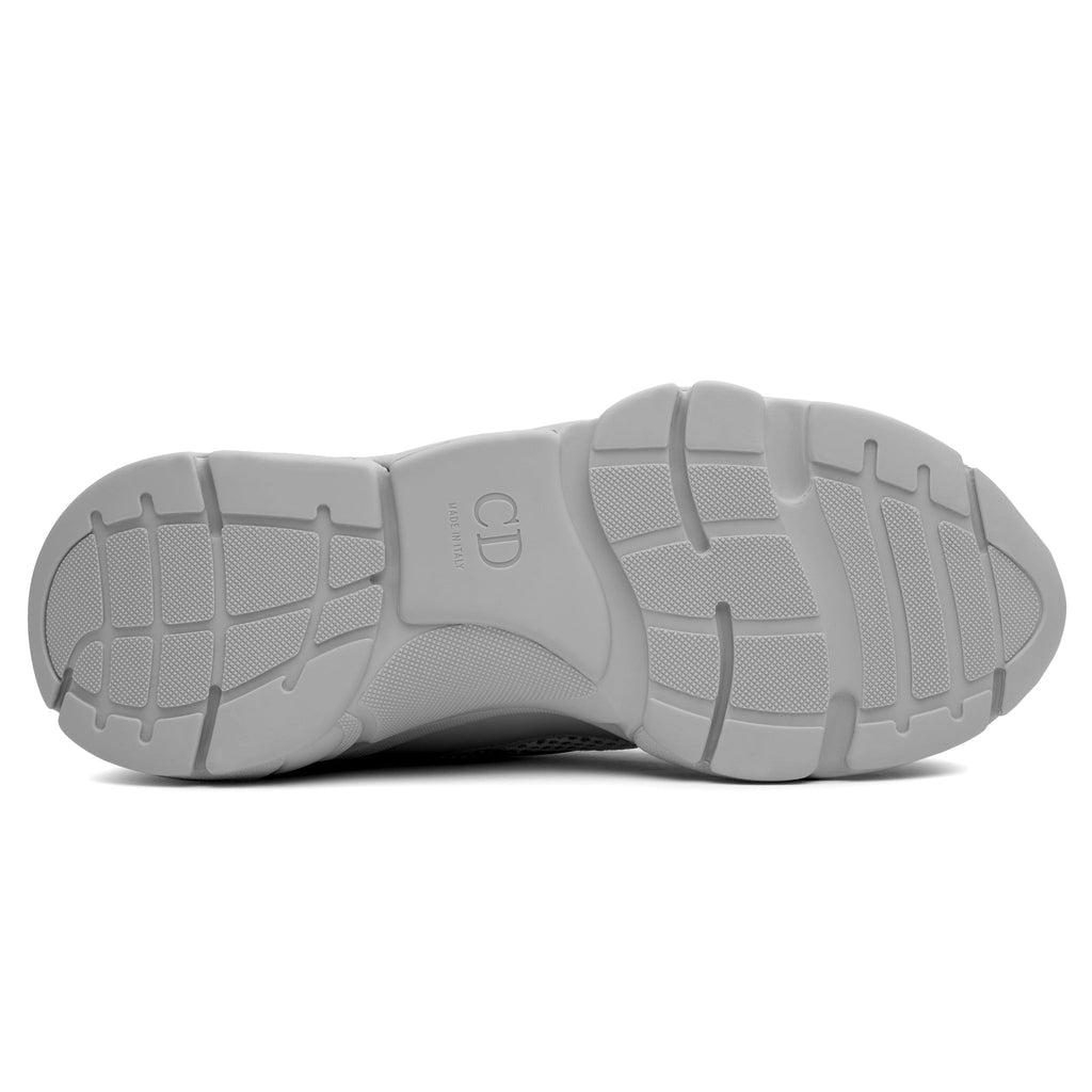 Dior B22 Grey
